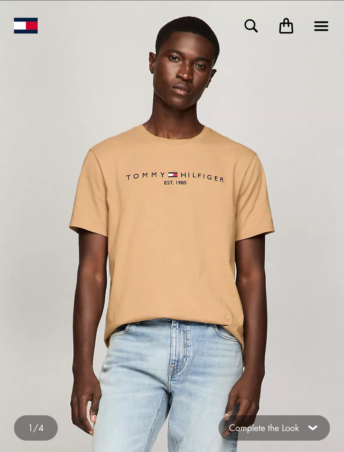 Embroidered Tommy Logo T-Shirt