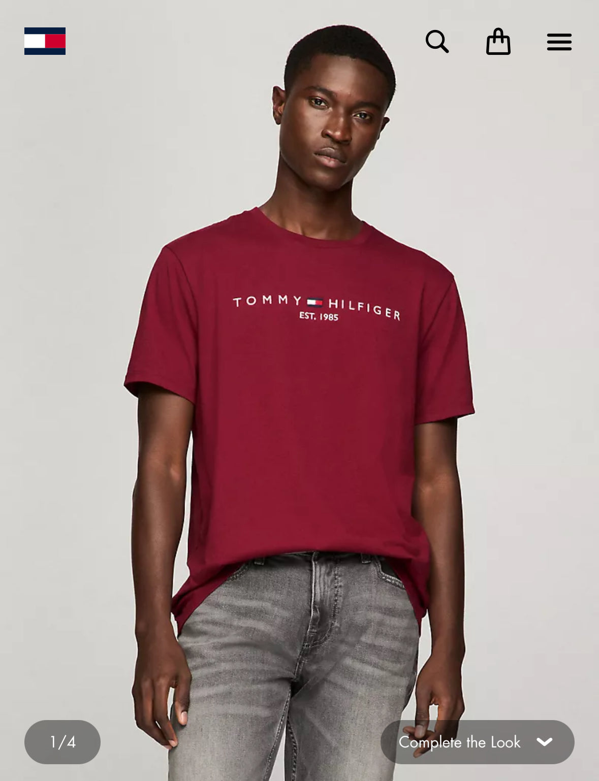 Embroidered Tommy Logo T-Shirt